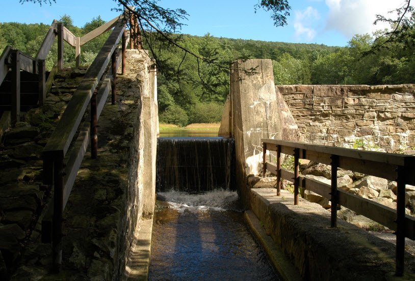 Penn-Roosevelt State Park, Pennsylvania, USA